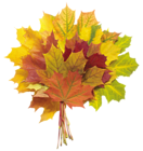 Autumn Leaves PNG Image