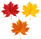 Autumn Leaves PNG Transparent Clipart