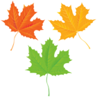 Autumn Leaves Transparent Clip Art Image