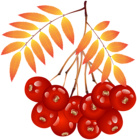 Autumn Plant PNG Clipart