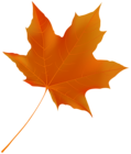 Fall Leaf PNG Clipart