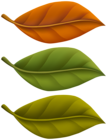 Fall Leaves Set PNG Clipart