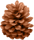 Fir Cone Transparent Clipart