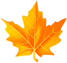 Orange Fall Leaf PNG Clipart