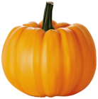 Pumpkin PNG Clipart Image