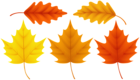 Set Fall Leaves PNG Clip Art Image