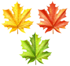 Set of Autumn Leaves Clip Art Image