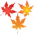 Set of Autumn Leaves PNG Clipart