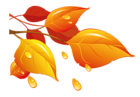 Transparent Autumn Leaves PNG Clipart