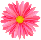 Beautiful Flower PNG Transparent Clipart