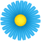 Daisy Blue Flower PNG Transparent Clipart