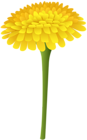 Dandelion PNG Clip Art Image