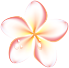 Exotic Summer Flowers Transparent PNG Clip Art Image