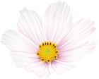 Flower Clip Art PNG Image