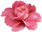 Flower Deco PNG Clip Art Image