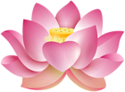 Lotus Flower PNG Clipart