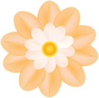 Orange Flower Soft Decorative PNG Clipart