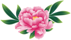 Pink Deco Flower Transparent Image