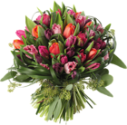 Transparent Tulips Bouquet PNG Clipart Picture