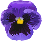 Violet Flower PNG Clipart