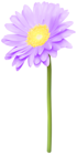 Violet Gerber Daisy PNG Transparent Clipart