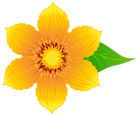 Yellow Flower PNG Transparent Clipart