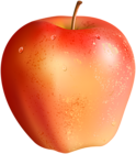 Apple Clip Art Image