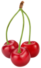 Cherries PNG Clipart