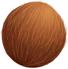 Coconut PNG Clipart