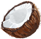 Coconut Transparent PNG Clip Art