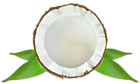 Coconut Transparent PNG Clip Art Image