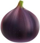 Fig PNG Clip Art Image