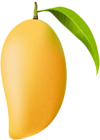 Mango PNG Clip Art Image