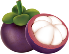 Mangosteen PNG Clip Art Image