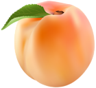 Peach PNG Clip Art Image