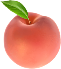 Peach Transparent Image