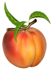 Peach Transparent PNG Clipart Picture