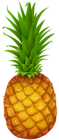 Pineapple PNG Clipart