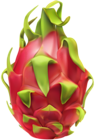 Pitaya PNG Clip Art Image