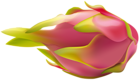 Pitaya Transparent Image