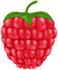 Raspberry PNG Clipart