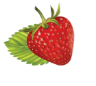 Strawberry Clipart