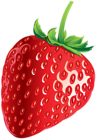 Strawberry PNG Clip Art