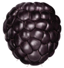 Transparent Blackberry PNG Clipart Picture