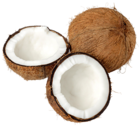 Transparent Coconut PNG Clipart