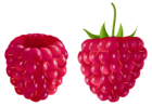 Transparent Raspberry PNG Clipart Picture