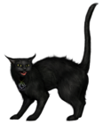 Creepy Black Cat PNG Picture