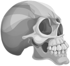 Halloween Skull PNG Clipart