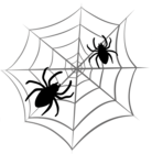 Halloween Spider Web PNG Clipart