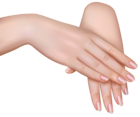 Female Hands PNG Clipart Image